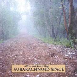 Subarachnoid Space : A New and Exact Map